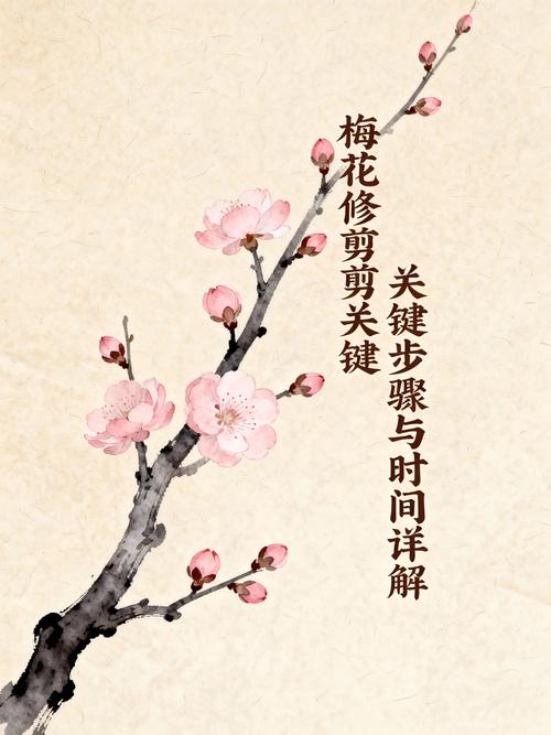 梅花什么时候修剪最合适?家庭盆栽科学养护全攻略 梅花什么时候修剪最合适?家庭盆栽科学养护全攻略