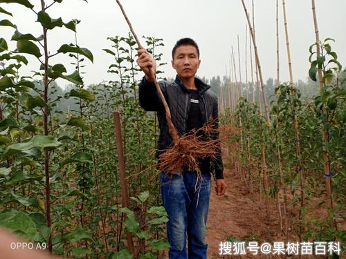 一、明确需求：先界定M9T337的核心特征与采购参数