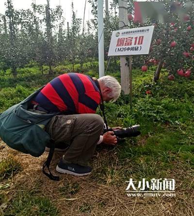 结语