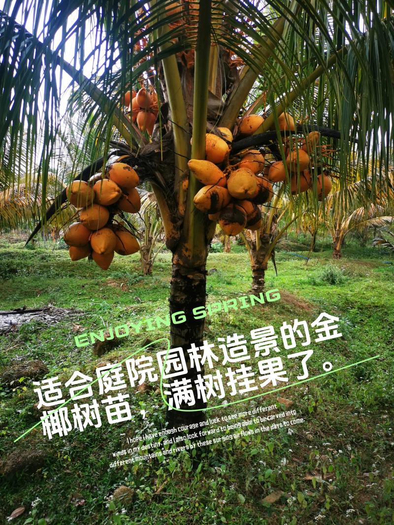 价格快速参考
