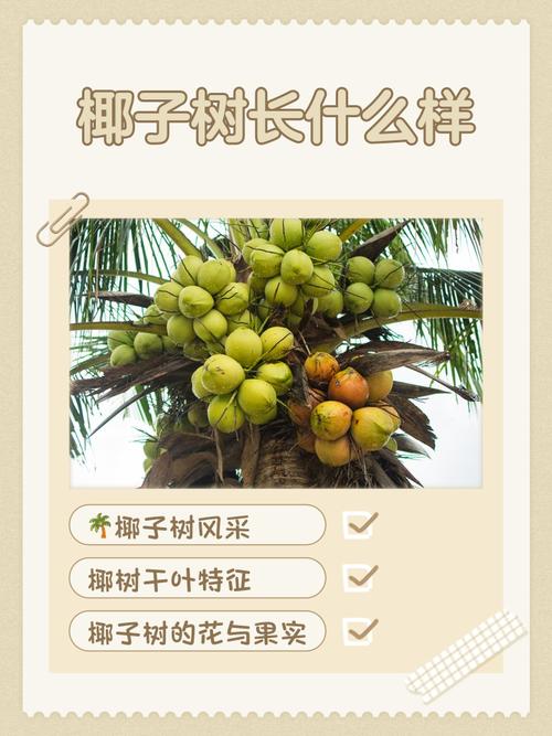 常见问题（FAQ）