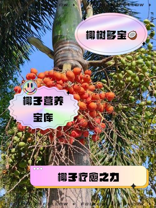 咨询指南