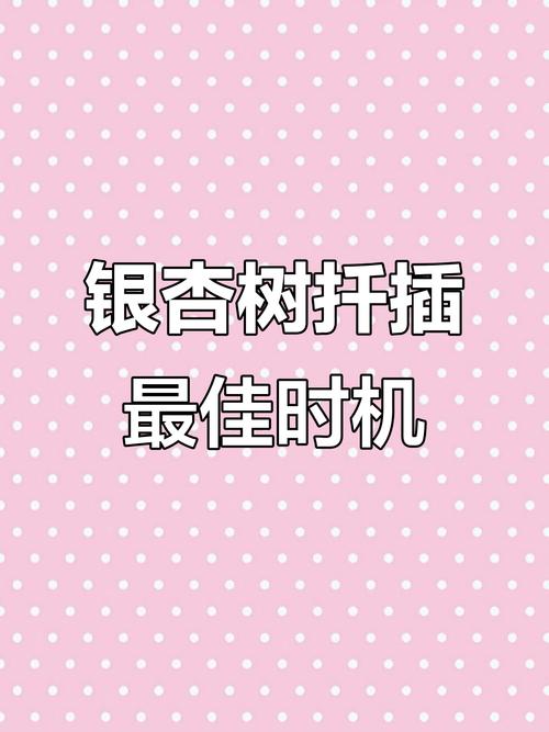 银杏树枝条能插活吗?掌握这5个关键步骤,成活率可达50%以上 总结:银杏枝条扦插成功的关键因素
