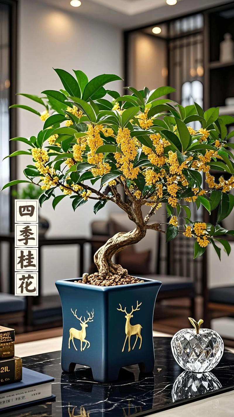 桂花树的文化寓意：象征“贵人”与“折桂”（民间习俗）