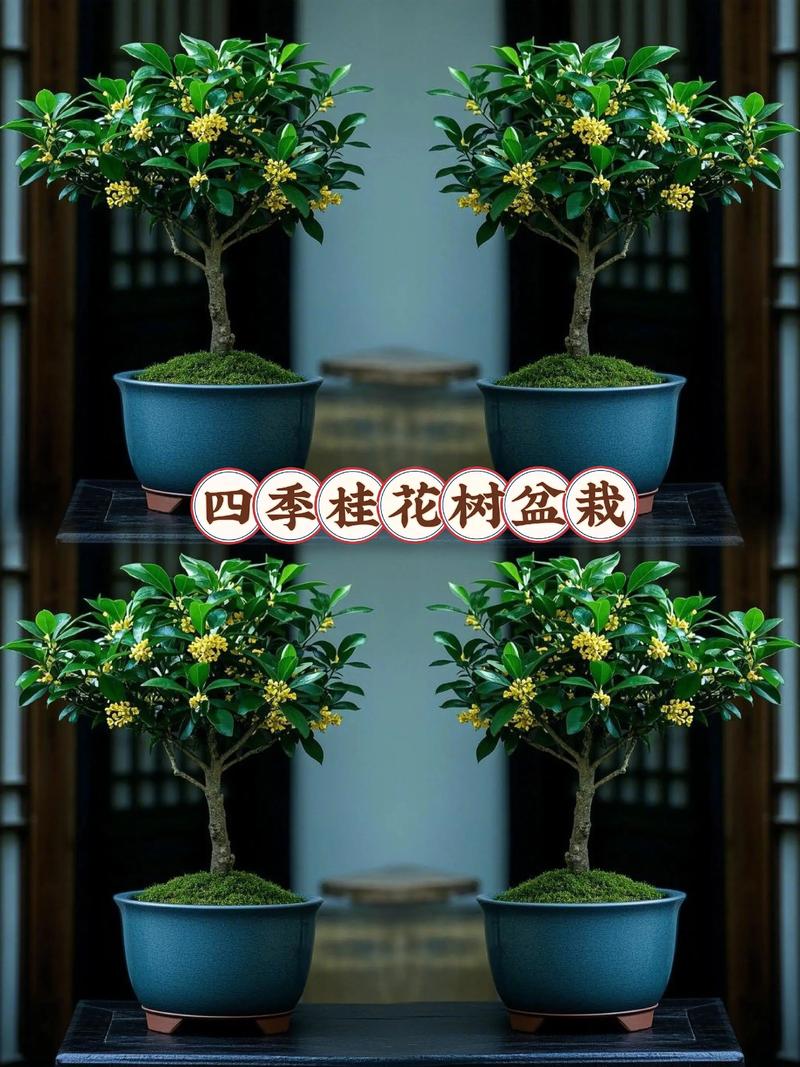 结语