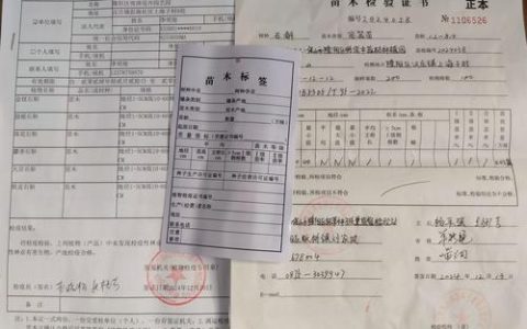 购买正宗果树苗的核心在于“先验证品种，再检验苗木，最后落实合同”，而非依赖任何一家店铺的承诺。