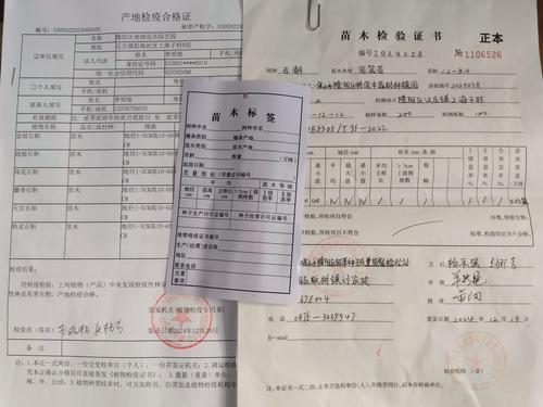 购买正宗果树苗的核心在于“先验证品种,再检验苗木,最后落实合同”,而非依赖任何一家店铺的承诺。 第一步:品种真实性核查:看叶、看皮、看花器