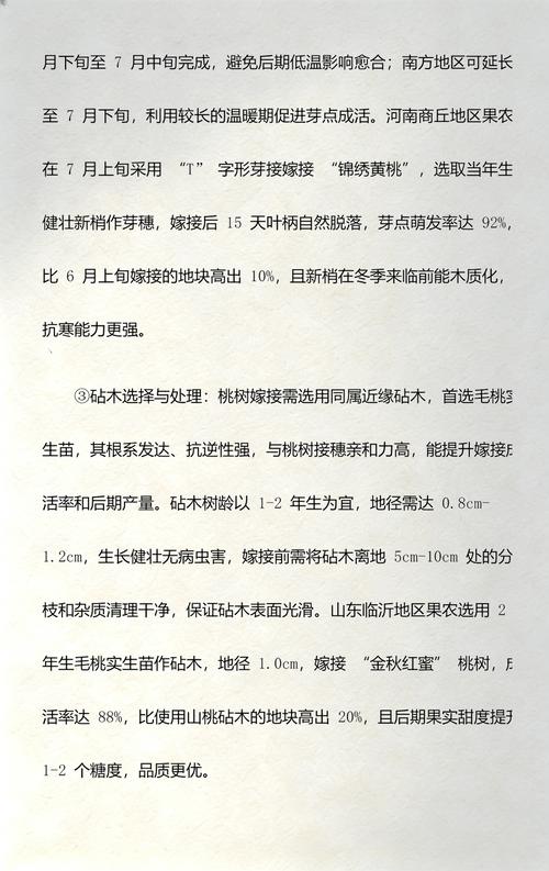 桃树嫁接指南:最佳砧木选择、嫁接方法及成活率影响因素 采购嫁接桃树苗时,必须关注嫁接口、根系与苗龄