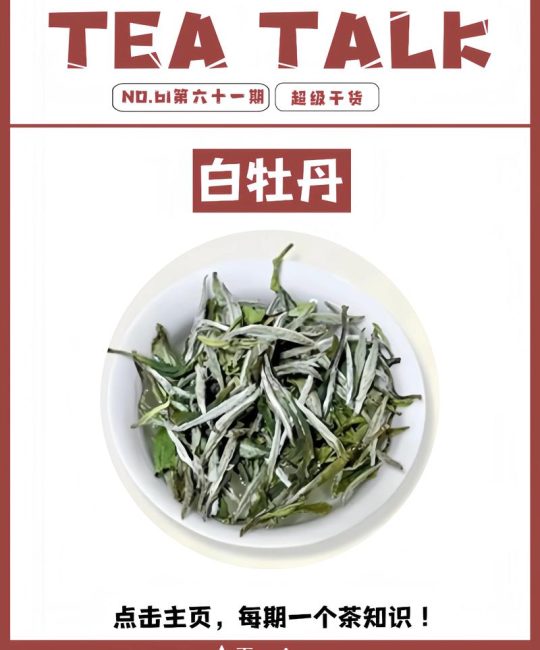 白茶极品是什么茶品种？
