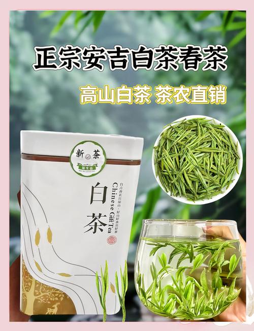 白茶极品是什么茶品种? 总结