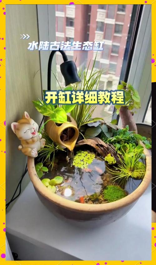 草缸养多少鱼合适?科学规划鱼缸生态的黄金法则 三、不同尺寸草缸的推荐鱼数(参考)