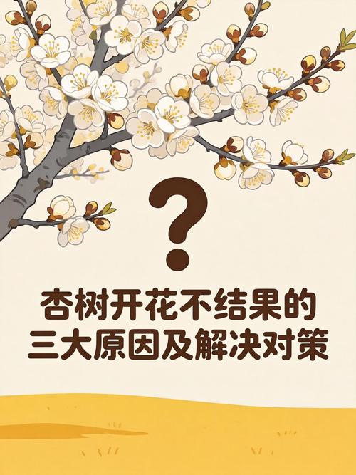 杏树只开花不结果是什么原因?原因及解决办法全解析 促花促果养护步骤