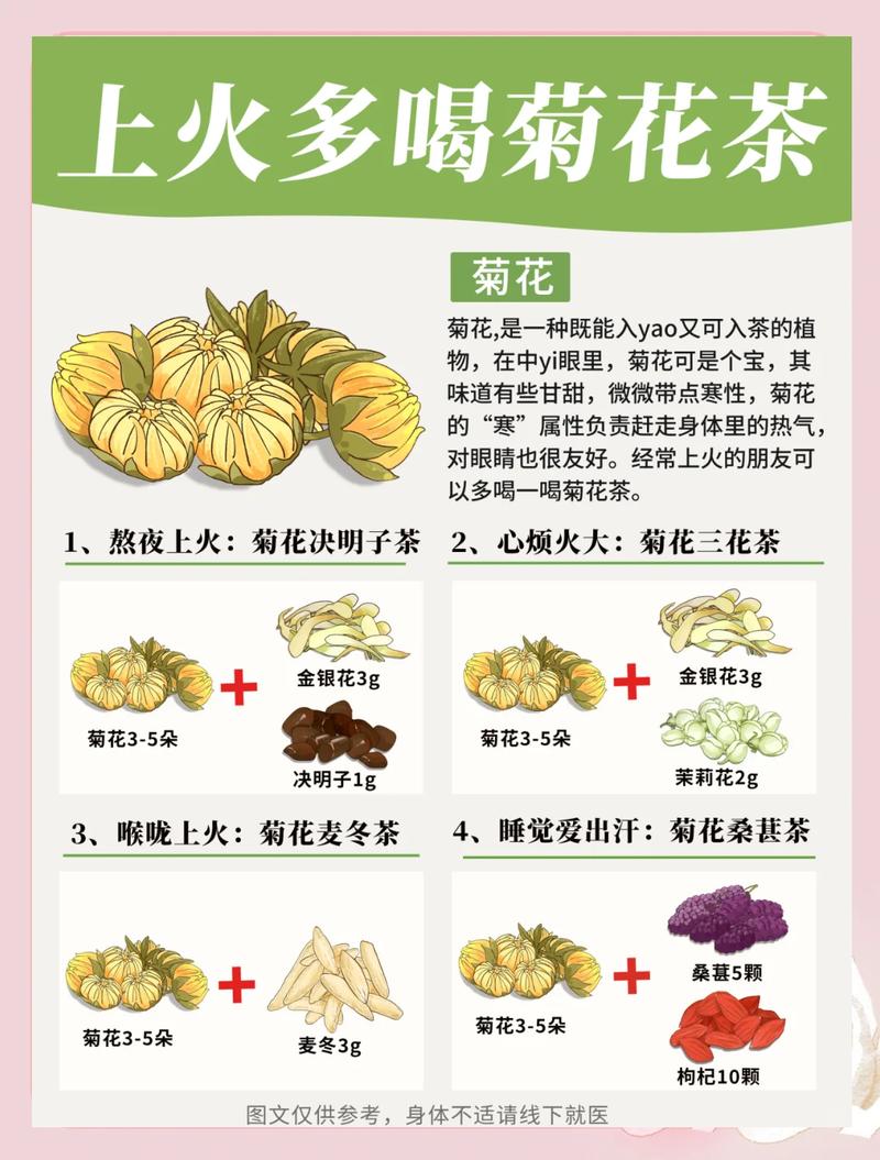 茶用菊花品种选择与养护全攻略:如何在家中种植出泡茶原料的完美搭配 越冬与越夏管理