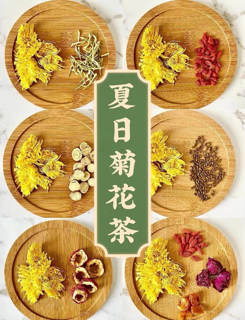 茶用菊花品种选择与养护全攻略:如何在家中种植出泡茶原料的完美搭配 FAQ