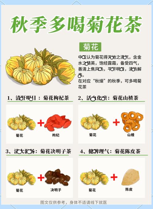 茶用菊花品种选择与养护全攻略:如何在家中种植出泡茶原料的完美搭配 常见误区与纠正