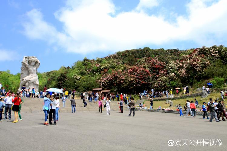 贵州毕节百里杜鹃最佳游览时间及花期全攻略 贵州毕节百里杜鹃最佳游览时间及花期全攻略
