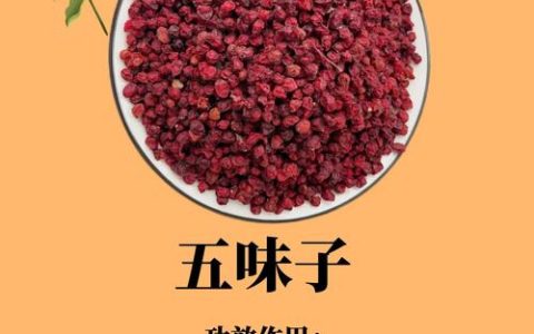 五味子的主要功效和作用：药食同源的养生智慧与安全食用指南