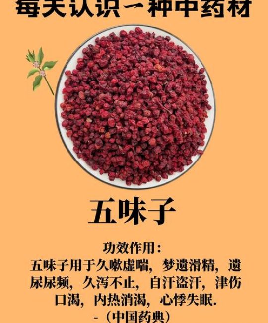 五味子的主要功效和作用：药食同源的养生智慧与安全食用指南