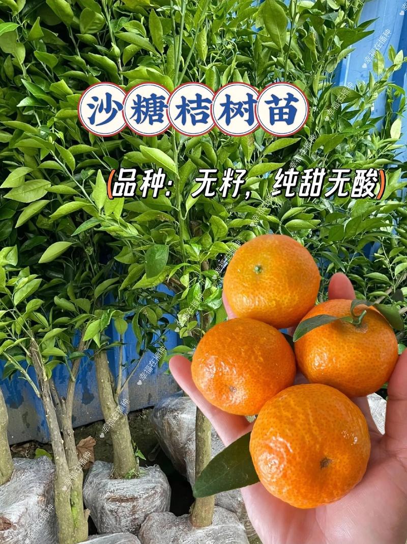结语