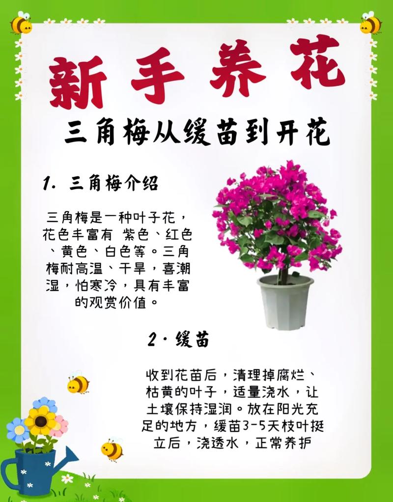 总结