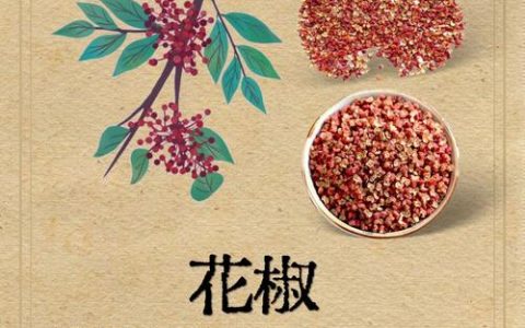 花椒种子的功效与作用：食用、榨油及药用常识