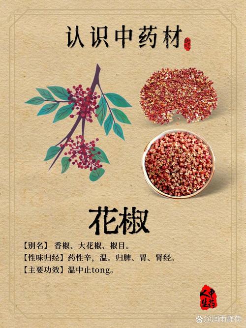 花椒种子的功效与作用:食用、榨油及药用常识 花椒种子的功效与作用:食用、榨油及药用常识