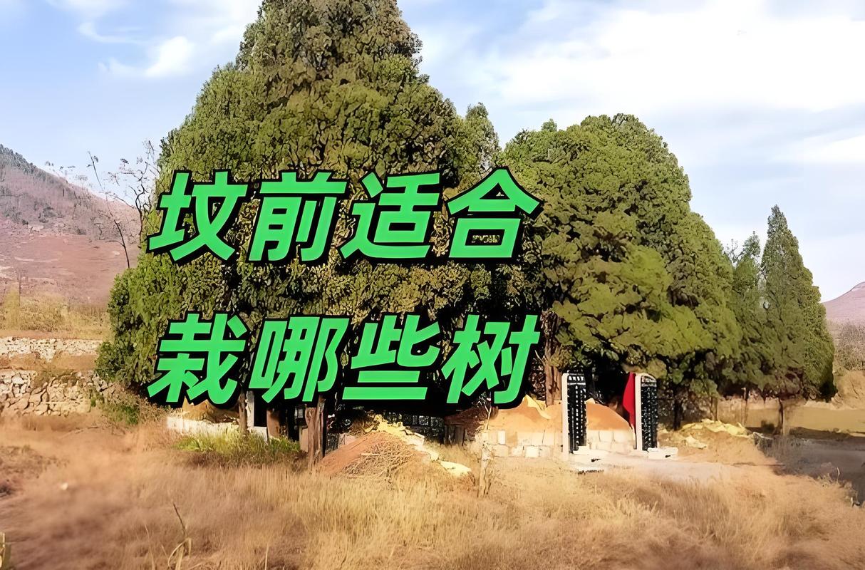 坟上栽树有讲究:这些树种既美观又符合传统习俗 二、推荐栽种的优良树种