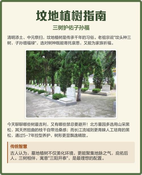 坟上栽树有讲究:这些树种既美观又符合传统习俗 四、实用种植注意事项