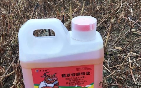 除草剂的正确使用方法：高效安全除草全攻略
