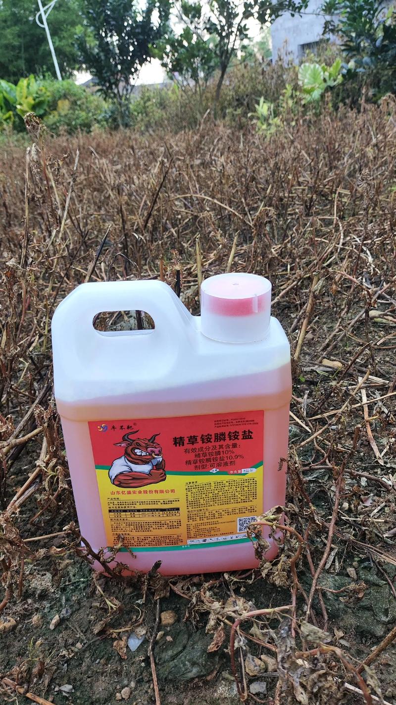 除草剂的正确使用方法:高效安全除草全攻略 除草剂的正确使用方法:高效安全除草全攻略