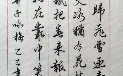 从《卜算子·咏梅》看梅花品格与园艺栽培之道