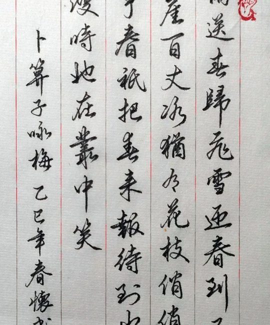 从《卜算子·咏梅》看梅花品格与园艺栽培之道
