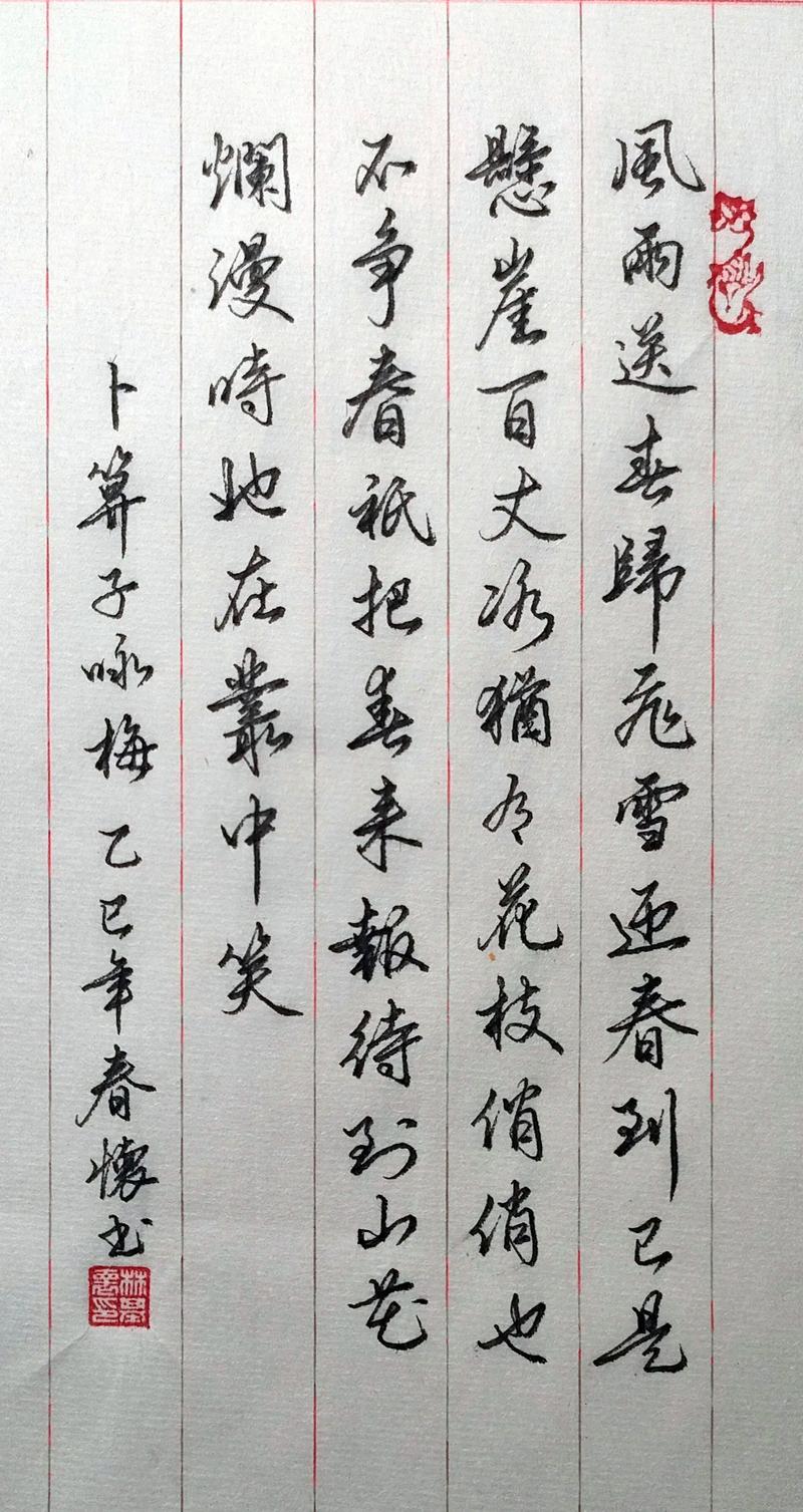 从《卜算子·咏梅》看梅花品格与园艺栽培之道 从《卜算子·咏梅》看梅花品格与园艺栽培之道