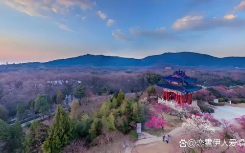 莱西梅花山医院周边梅花观赏与园艺种植指南