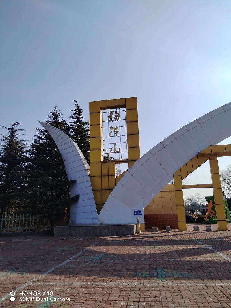 莱西梅花山医院周边梅花观赏与园艺种植指南 常见病虫害防治