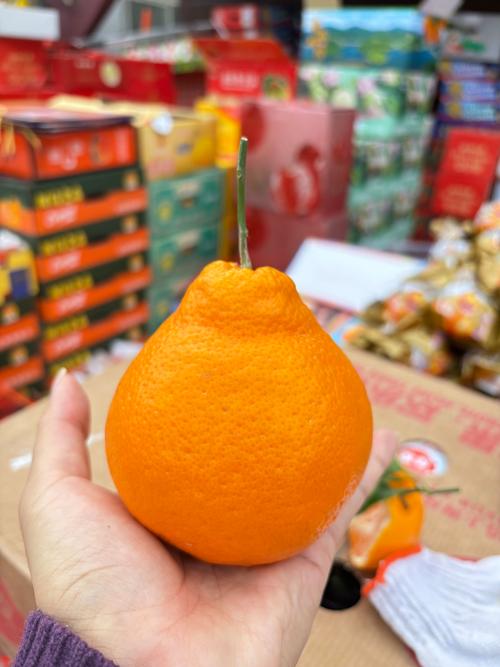 耙耙柑什么时候上市?2026年最佳品尝时间与选购指南 耙耙柑什么时候上市?2026年最佳品尝时间与选购指南