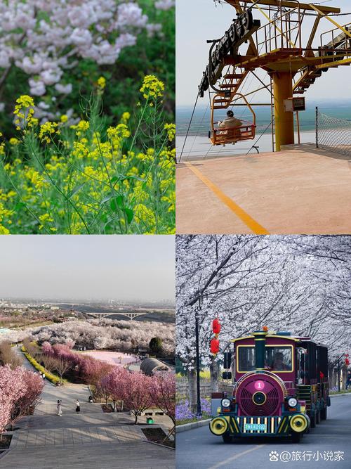 樱花校园50万株樱花种植全攻略:选址与养护指南 三、种植技术:50万株,每株都是技术活