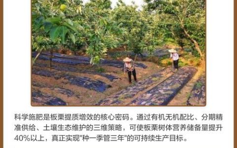 板栗树种植指南：避开这三种“忌讳”肥料，产量翻倍