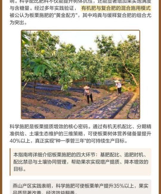 板栗树种植指南：避开这三种“忌讳”肥料，产量翻倍
