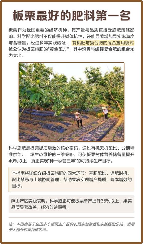 板栗树种植指南:避开这三种“忌讳”肥料,产量翻倍 板栗树种植指南:避开这三种“忌讳”肥料,产量翻倍