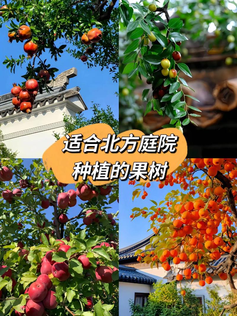 栽植通用操作参数（适用于以上所有果树）