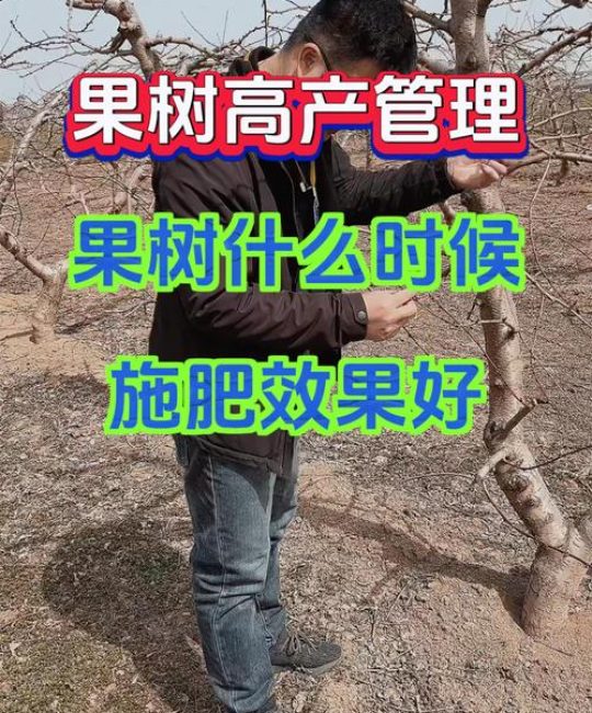 果树什么时候施肥最好？全年施肥时间表与技巧