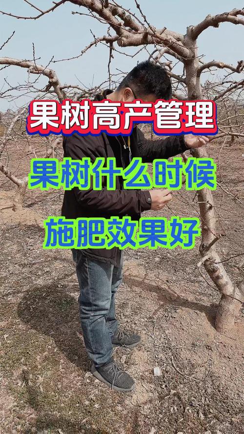 果树什么时候施肥最好？全年施肥时间表与技巧
