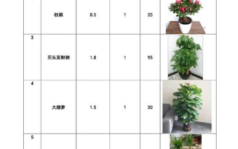 绿可木多少钱一米？2024年价格区间与五大影响因素全解析