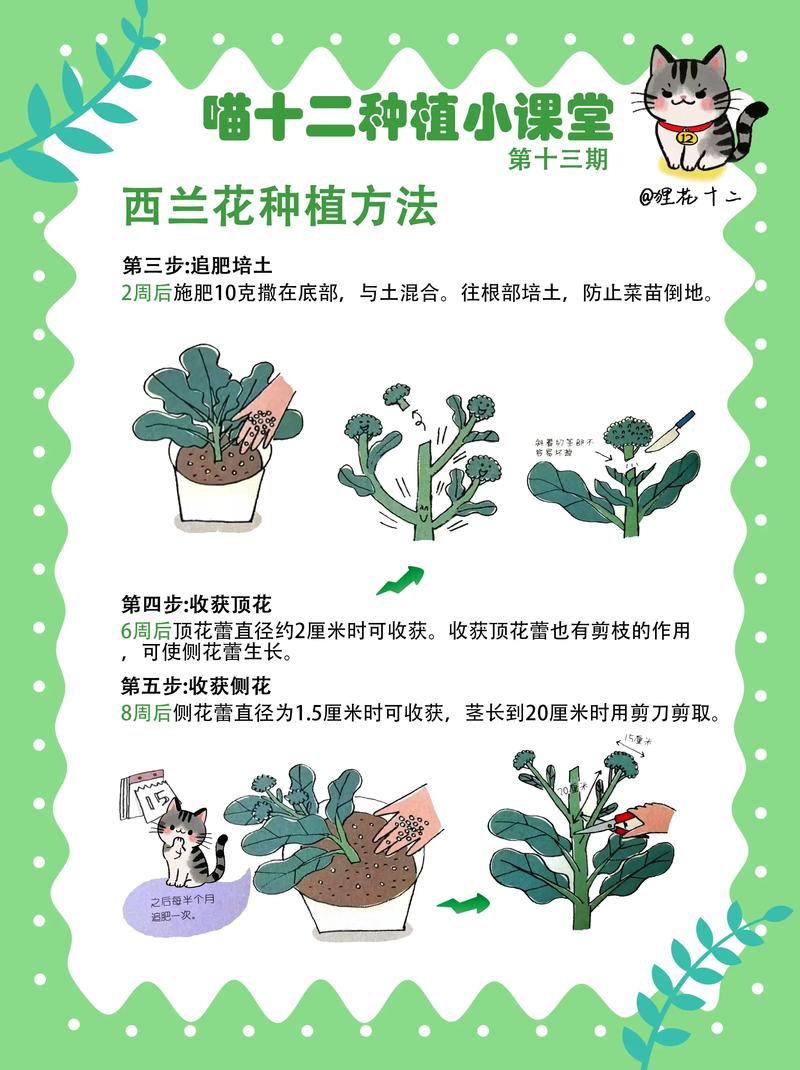 花卉怎么种植?从选时到成活的七步实操指南(通用版) 二、土壤环境:打好基础,花活一半