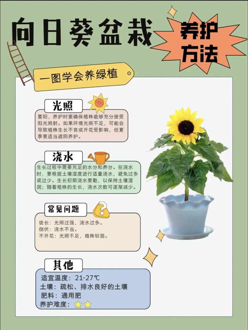 花卉怎么种植?从选时到成活的七步实操指南(通用版) 四、栽植深度:根茎结合部与地面齐平