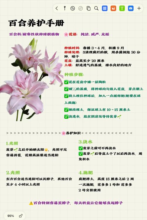 花卉怎么种植?从选时到成活的七步实操指南(通用版) 六、缓苗管理:让苗“安家”的7-15天