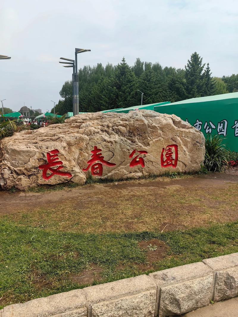 长春动植物公园绿化工程苗木应用与购票指南 三、栽植密度计算