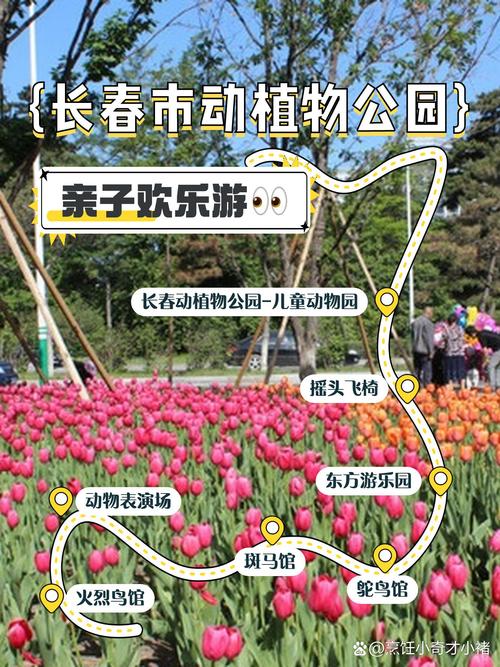 长春动植物公园绿化工程苗木应用与购票指南 五、运输装卸方案(以8m货车为例)