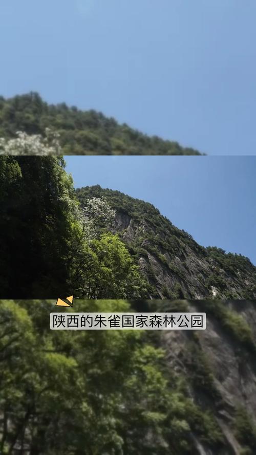 长春动植物公园绿化工程苗木应用与购票指南 结语